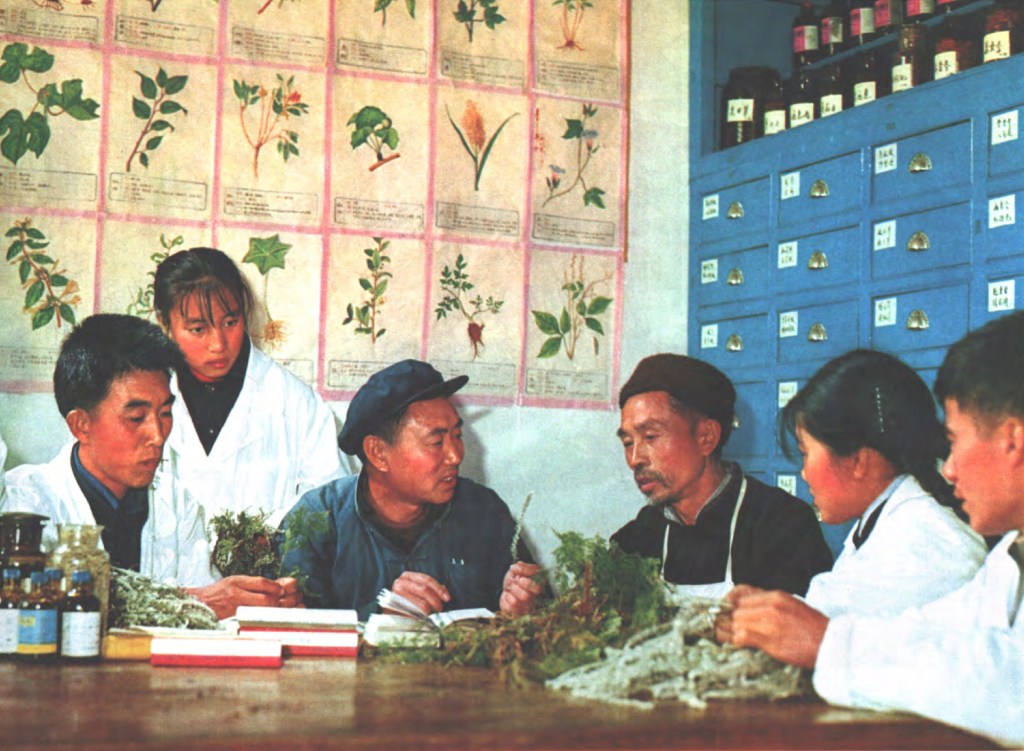 The training of herb doctors in traditional and Western medicine in rural China in 1971.